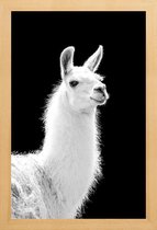 JUNIQE - Poster in houten lijst Llama -20x30 /Wit & Zwart