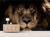 Professioneel Fotobehang Afrikaanse leeuw sepia - bruin - Sticky Decoration - fotobehang - decoratie - woonaccessoires - inclusief gratis hobbymesje - 355 cm breed x 240 cm hoog - in 7 versch