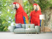 Professioneel Fotobehang Papegaaien rood - rood - Sticky Decoration - fotobehang - decoratie - woonaccessoires - inclusief gratis hobbymesje - 325 cm breed x 220 cm hoog - in 7 verschillende 