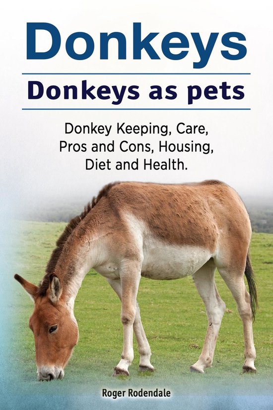 Donkeys. Donkeys as pets. Donkey Keeping, Care, Pros and Cons, Housing