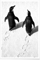 JUNIQE - Poster Wandelende pinguïns -30x45 /Wit & Zwart