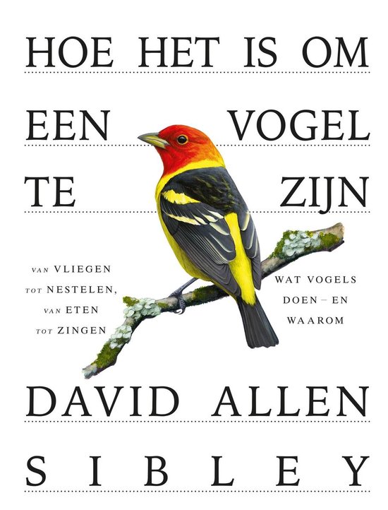 Hoe het is om een vogel te zijn, David Allen Sibley | 9789024595143 |  Boeken | bol.com