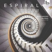 Espiral: Spanish Chamber Orchestral Works