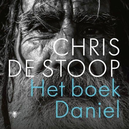 Het boek Daniel - cover