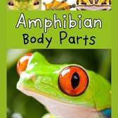 Amphibian Body Parts