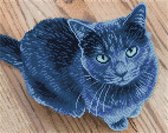 DQK8.002 Diamond Dotz® - Hobby Pakket - Diamond painting volwassenen - Diamond painting met lijst - Kat van bovenaf 30 x 37.5cm - Vierkante steentjes - Diamond painting pakket volledig