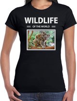 Dieren foto t-shirt Koala - zwart - dames - wildlife of the world - cadeau shirt koalabeer liefhebber S