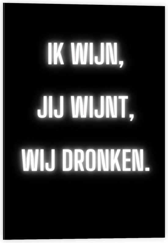 Dibond - Tekst: ''Ik Wijn, Jij Wijnt, WIj dronken'' Neon Letters Wit/Zwart - 40x60cm Foto op Aluminium (Met Ophangsysteem)