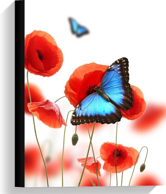 Canvas  - Blauwe met Zwarte Vlinder op Rode Bloem - 30x40cm Foto op Canvas Schilderij (Wanddecoratie op Canvas)