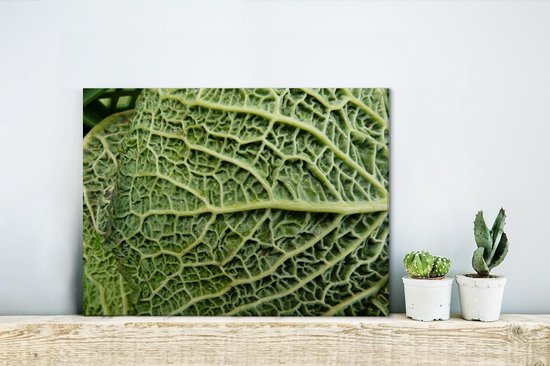 Les veines de la feuille dans un chou vert Toile 40x30 cm - petit - Tirage photo sur toile (Décoration murale salon / chambre)