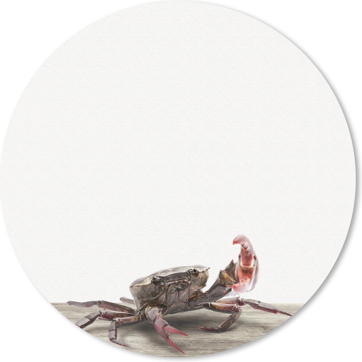 Muismat Animalprintshop - Krab dierenprint Muismat rond - 30x30 cm - Muismat met foto