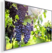 Infrarood Verwarmingspaneel 600W met fotomotief een Smart Thermostaat (5 jaar Garantie) - Selectie van Druiven 172