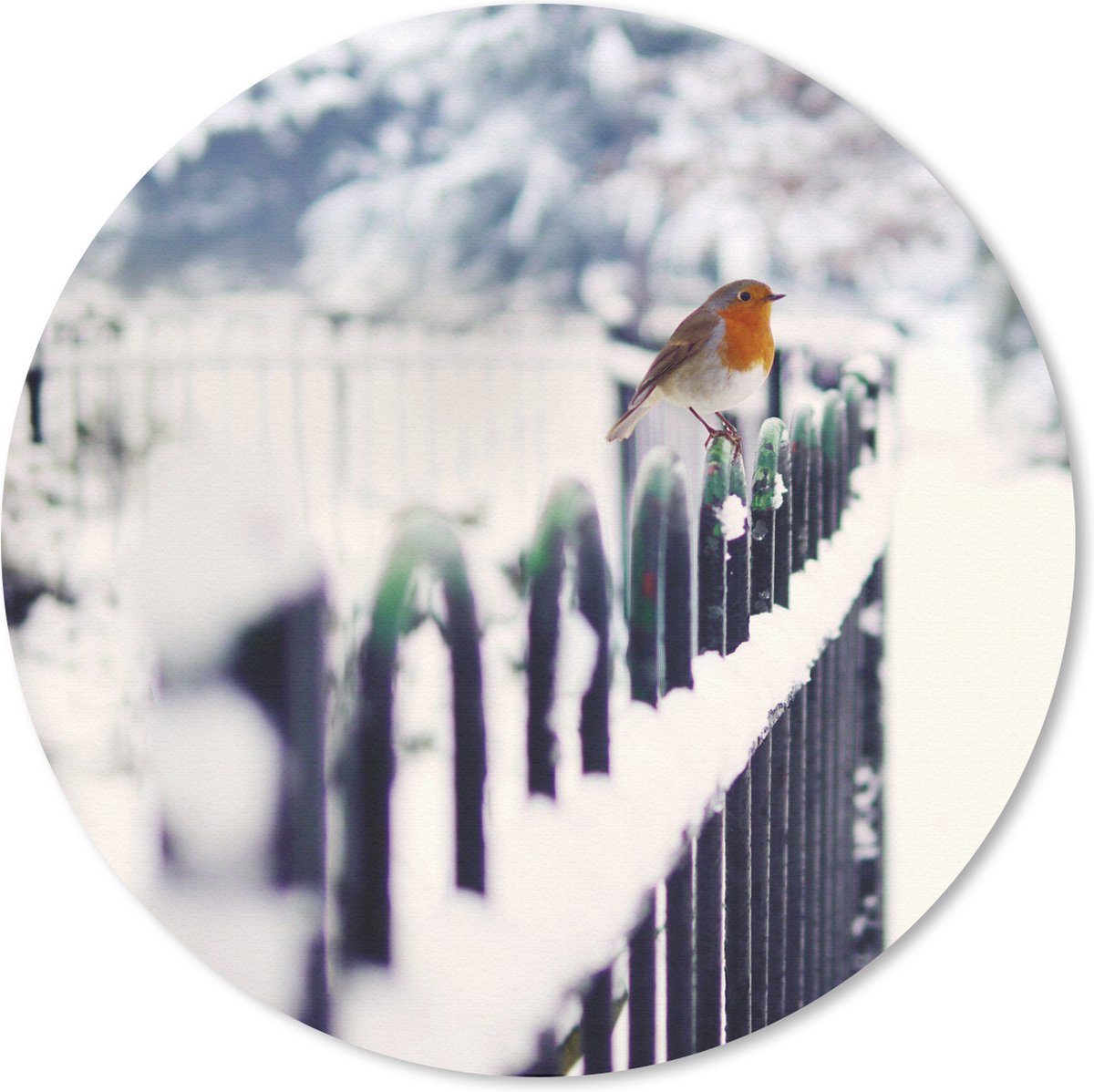 Muismat rond 30x30 cm - Mousepad Sneeuw - Roodborstje - Hek - Ronde muismatten