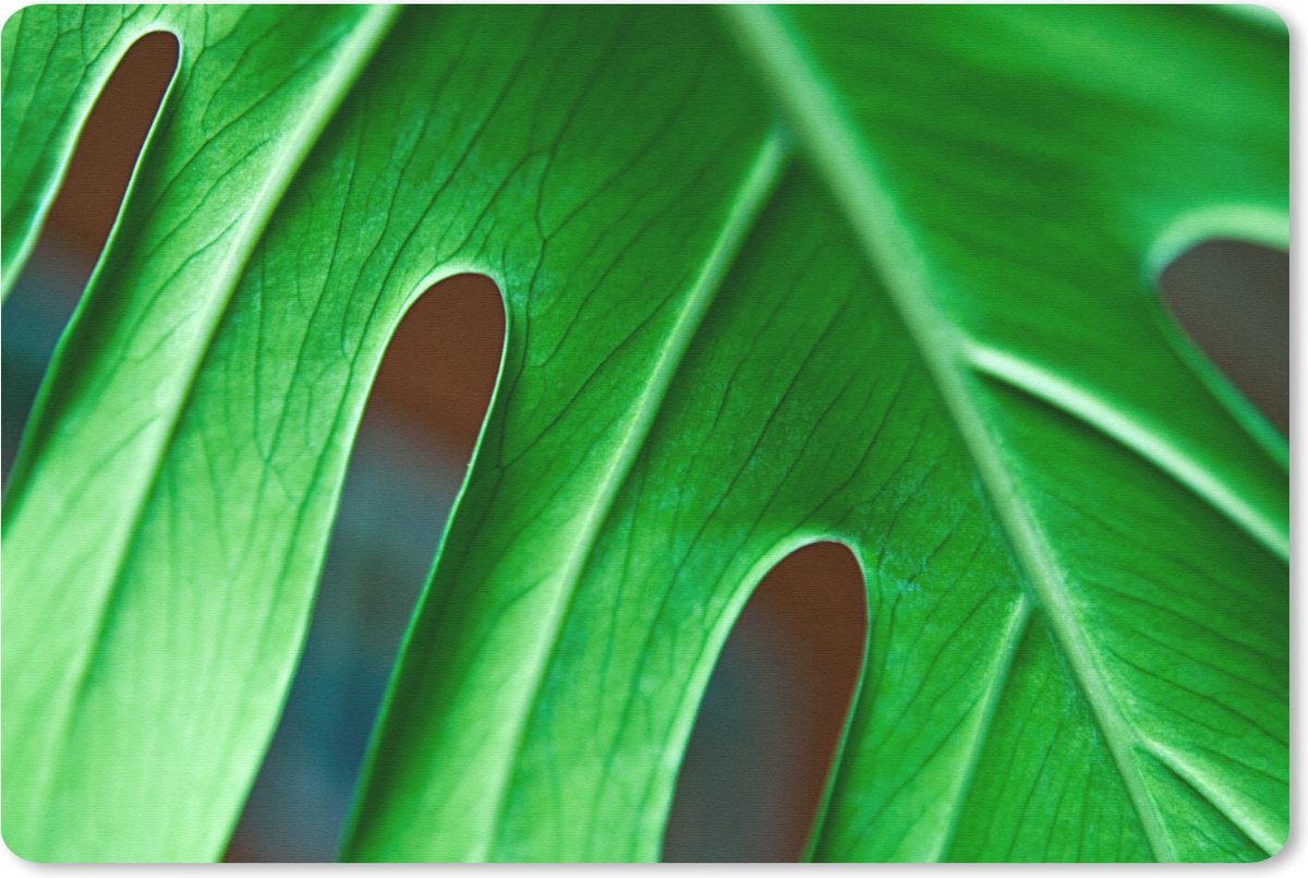 Muismat Botanisch - Levendig botanisch blad muismat rubber - 60x40 cm - Muismat met foto