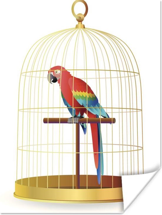 Luik sympathie school Poster een rode papegaai in een kooi - 60x80 cm | bol.com