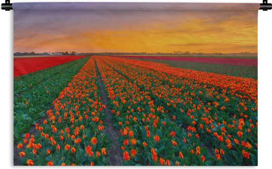 Tapisserie murale Paysages Pays- Nederland - Champs de tulipes en Holland méridionale Tapisserie murale coton 90x60 cm - Tapisserie murale avec photo