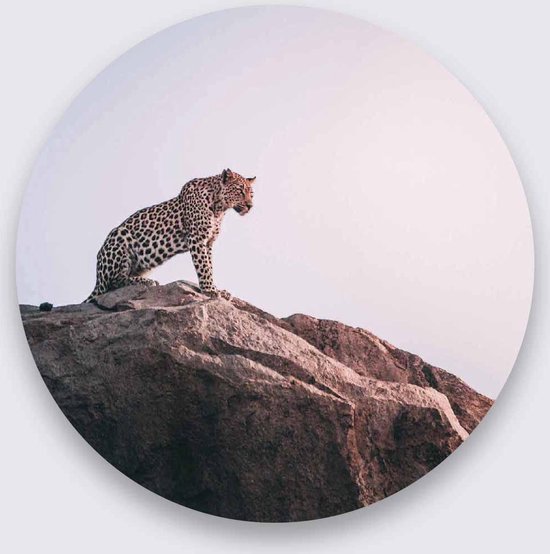 Schilderij - jachtluipaard - Collectie wildlife - Pure Metal - 50x50cm