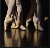 Schilderij - dansen - ballet - Collectie Moves - Forex met zwarte lijst - 74x74cm