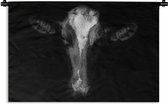 Tapisserie Animaux sur fond noir - Vache sur fond noir Tapisserie coton 120x80 cm - Tapisserie avec photo
