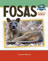 On the Trail: Study of Secretive Animals - Fosas