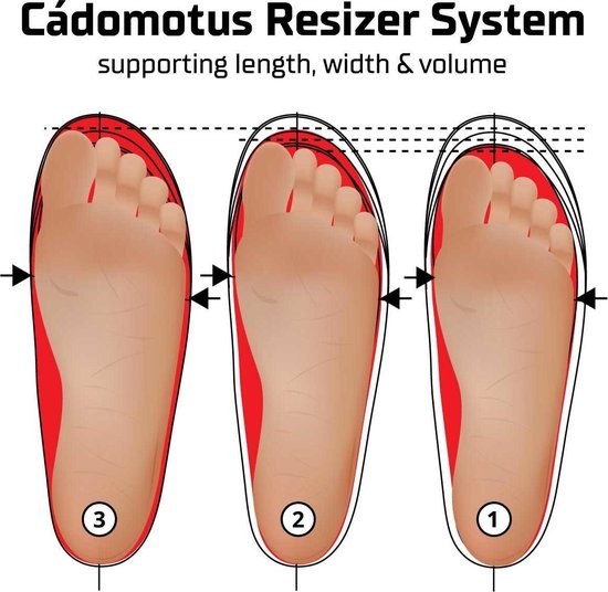 Cádomotus