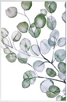 JUNIQE - Poster in kunststof lijst Eucalyptus aquarel -30x45 /Groen &