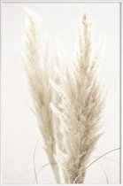 JUNIQE - Poster in kunststof lijst Pampas riet -60x90 /Ivoor & Wit