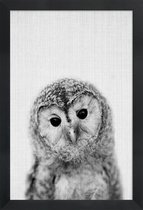 JUNIQE - Poster in houten lijst Uil zwart-wit foto -20x30 /Grijs & Wit