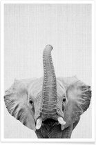 JUNIQE - Poster Olifant zwart-wit foto -13x18 /Wit & Zwart