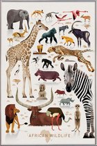 JUNIQE - Poster met kunststof lijst Vintage Afrika -60x90 /Kleurrijk