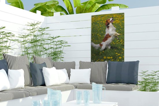 Kooiker se dresse sur les pattes de derrière affiche de jardin toile en vrac 40x60 cm - petit - toile de jardin / toile d'extérieur / Peintures pour l'extérieur (décoration de jardin)