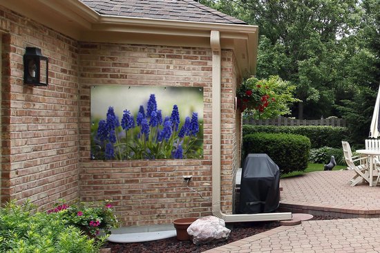 Petite affiche de jardin jacinthes de raisin 120x80 cm - Toile de jardin / Toile d'extérieur / Peintures d'extérieur (décoration de jardin)