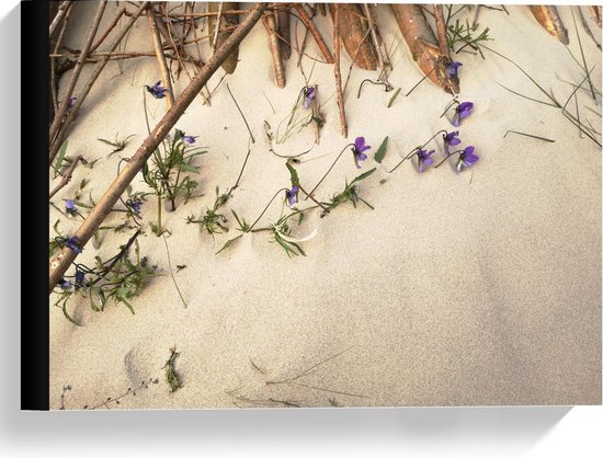 Canvas  - Groeiende Bloemen in het Zand - 40x30cm Foto op Canvas Schilderij (Wanddecoratie op Canvas)
