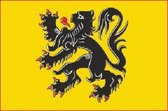 vlag Vlaanderen 100x150cm
