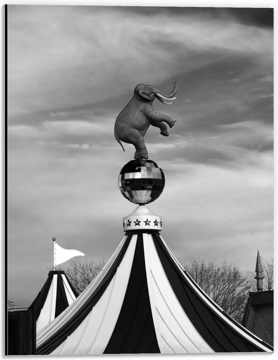 Foto: Dibond olifant op circustent zwart wit 30x40cm foto op aluminium met ophangsysteem 