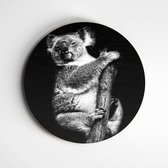 IDecorate - Schilderij - Koala Exclusive Animals - Zwart En Wit - 60 X 60 Cm