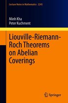 Lecture Notes in Mathematics 2245 - Liouville-Riemann-Roch Theorems on Abelian Coverings