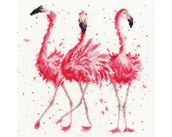 Hannah Dale Pink Ladies borduren (pakket)