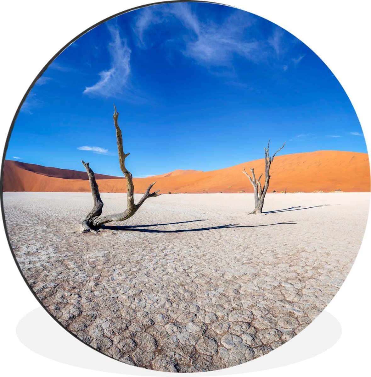 Wandcirkel Afrika aluminium - Oude bomen in de woestijn - ⌀ 90 cm
