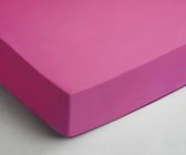 Day Dream Jersey Hoeslaken -140 x 200 cm - Fuchsia