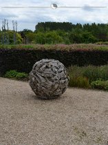 Rode Beuk Fagus sylvatica Atropunicea 60-80 cm Blote wortel, 350x Haagplant