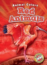 Animal Colors - Red Animals