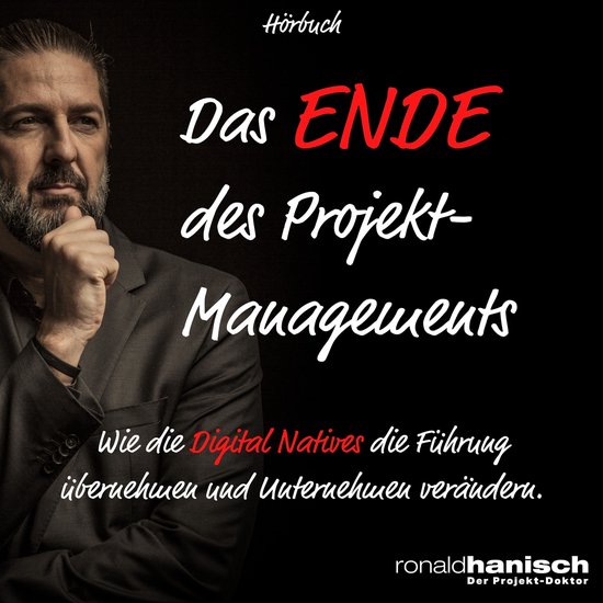 Das Ende des Projektmanagements - cover