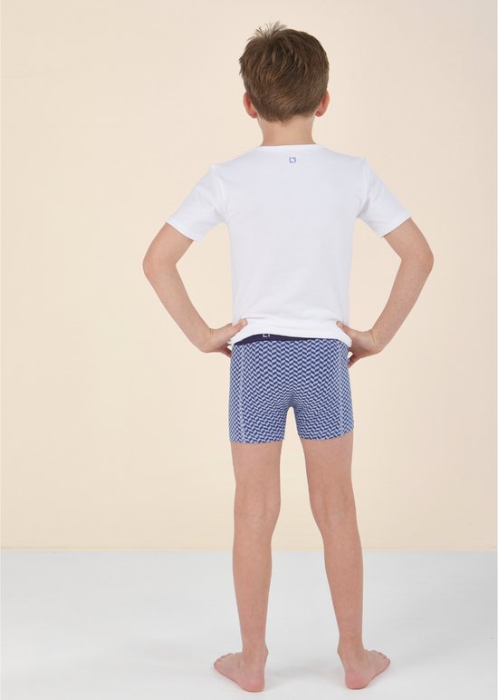 Little Label - boxershorts jongens 5 pack - blauw grijs combi - 158-164 / 14Y - extra zachte bio-katoen