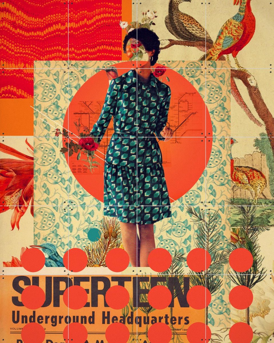 IXXI Superteen, Frank Moth - 80 x 100 cm - Gratis ophangtool - Grote wanddecoratie en posters - Vintage, Kleurrijk, Vogels