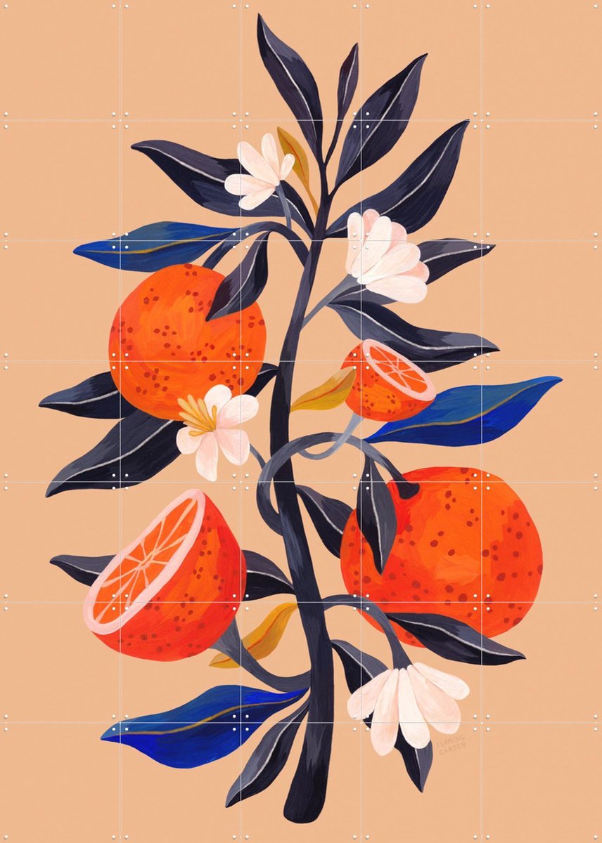 IXXI Orange Tree, Flaming Garden - 100 x 140 cm - Gratis ophangtool - Grote wanddecoratie en posters - Illustraties, Kleurrijk, Eten & Drinken