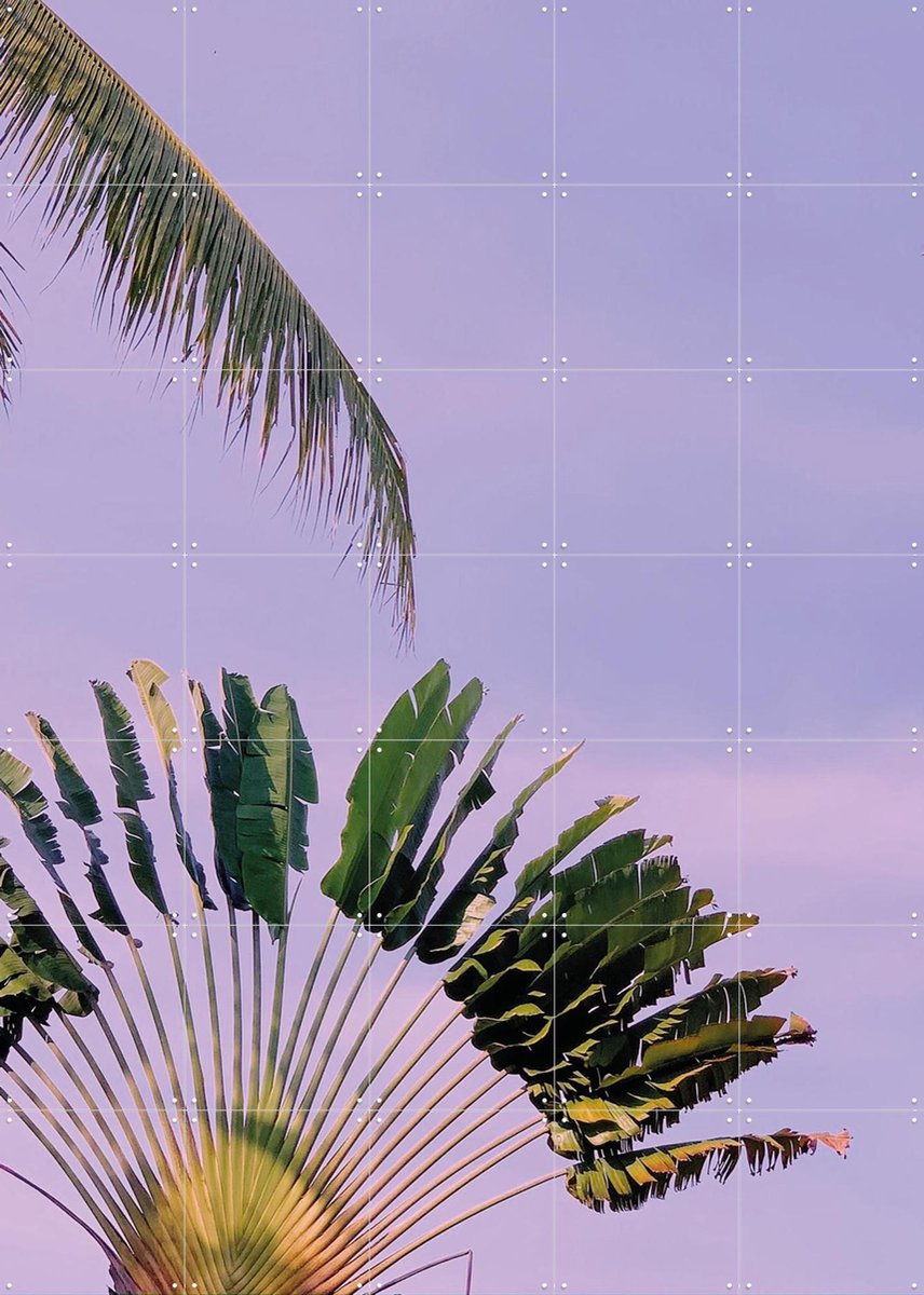 IXXI Tropical Sunset, We Like Bali - 100 x 140 cm - Gratis ophangtool - Grote wanddecoratie en posters - Fotografie, Naturalisme, Kleurrijk