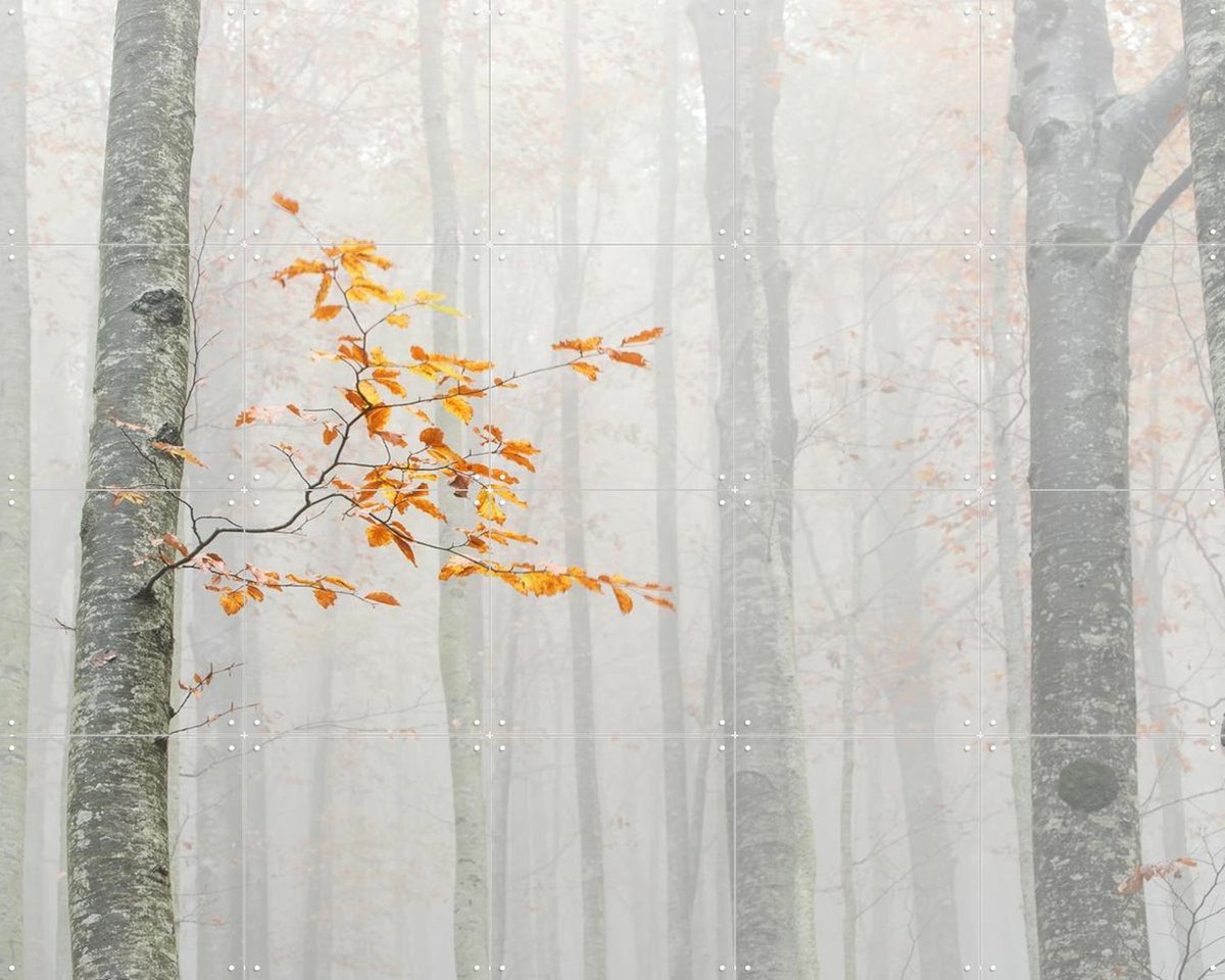 IXXI Autumn 2020, Aglioni Simone & Various - 100 x 80 cm - Gratis ophangtool - Grote wanddecoratie en posters - Fotografie, Woonkamer, Slaapkamer