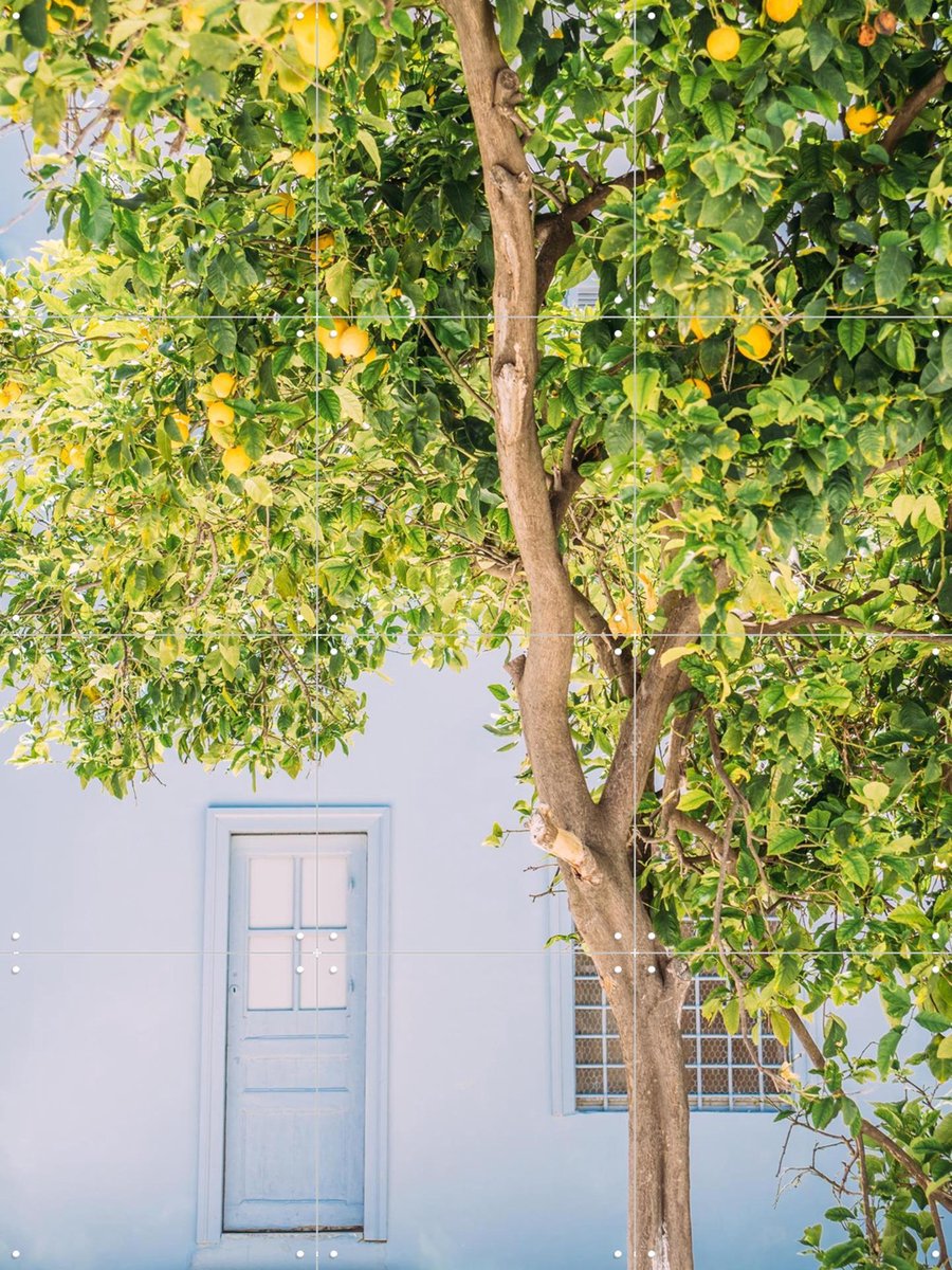 IXXI Blue House Lemon Tree, Pati Photography - 60 x 80 cm - Gratis ophangtool - Grote wanddecoratie en posters - Fotografie, Kleurrijk, Keuken