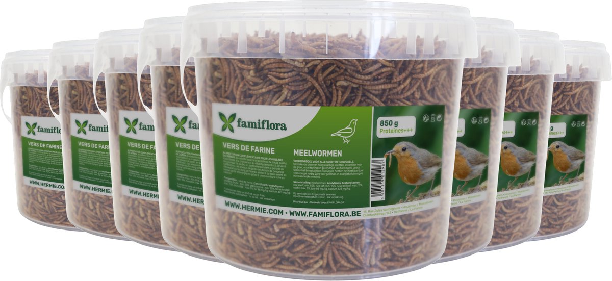 Famiflora gedroogde meelwormen 6,8KG = 8x ± 5L in hersluitbare emmer - voor tuinvogels - Aanvullend diervoeder voor tuinvogels